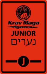 Krav Maga Systems Junior Patch